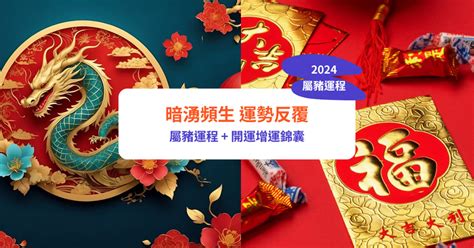 2024屬豬運勢|【2024屬豬運程】2024屬豬運程：反覆向上、轉危為機！【開運。